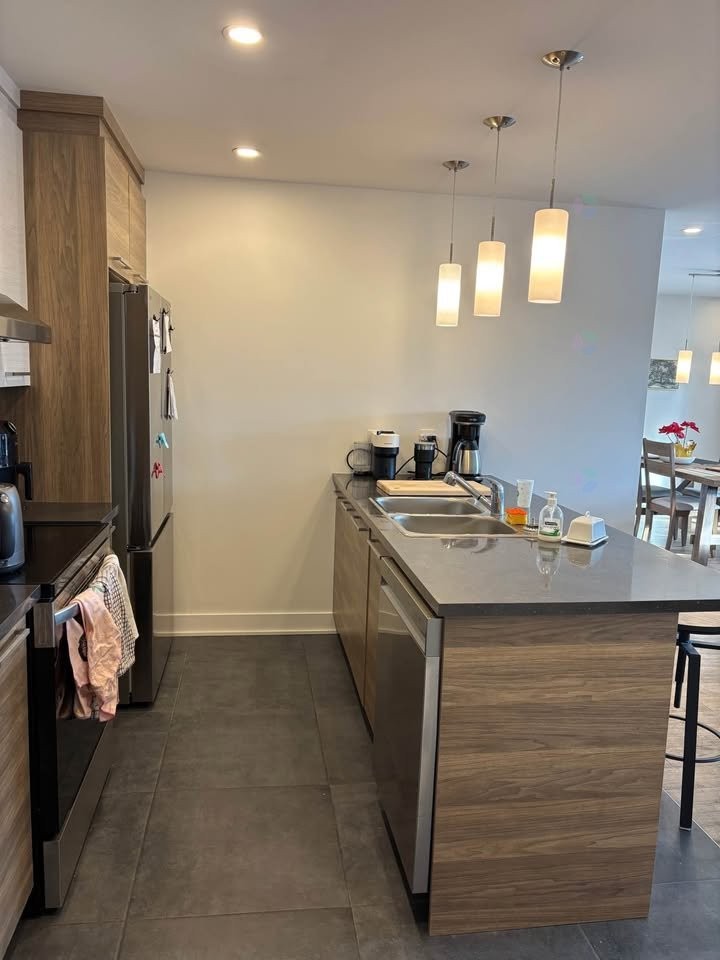Cuisine - 302-492 Rue Jacques-Cartier S., Saint-Jean-Sur-Richelieu, QC - Indoor Photo Showing Kitchen With Double Sink
