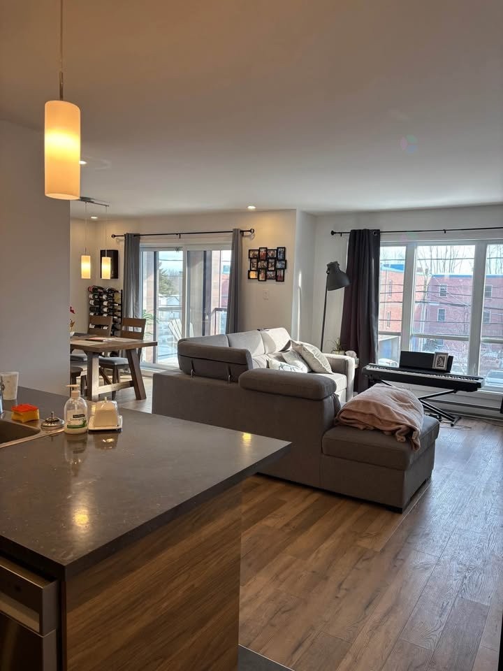 Vue d'ensemble - 302-492 Rue Jacques-Cartier S., Saint-Jean-Sur-Richelieu, QC - Indoor Photo Showing Living Room