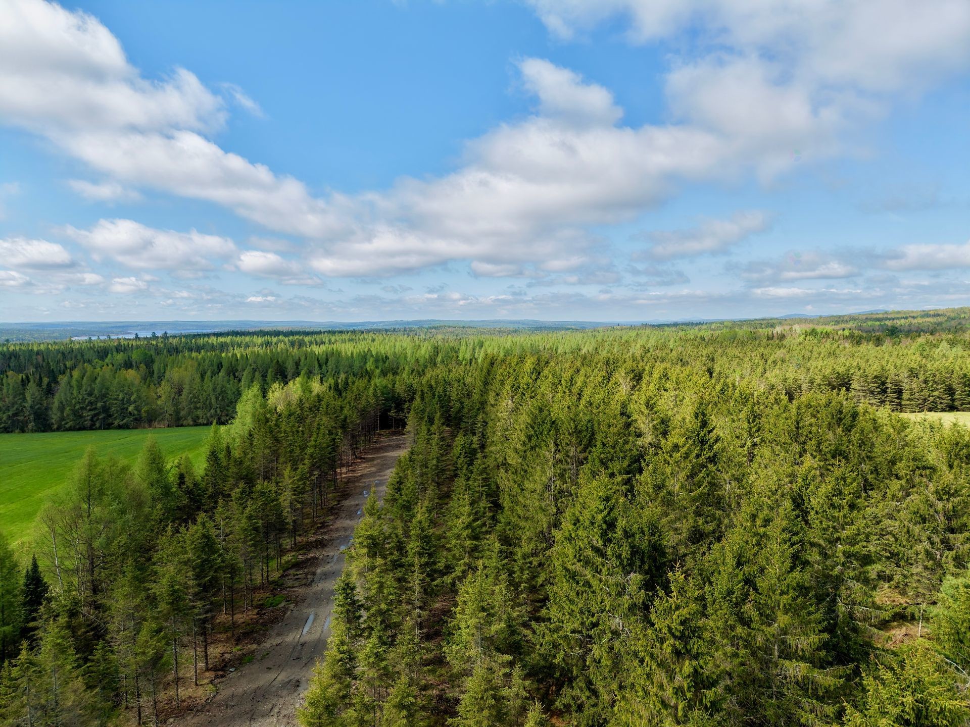 Wooded area - 382 4E Rang, Adstock, QC