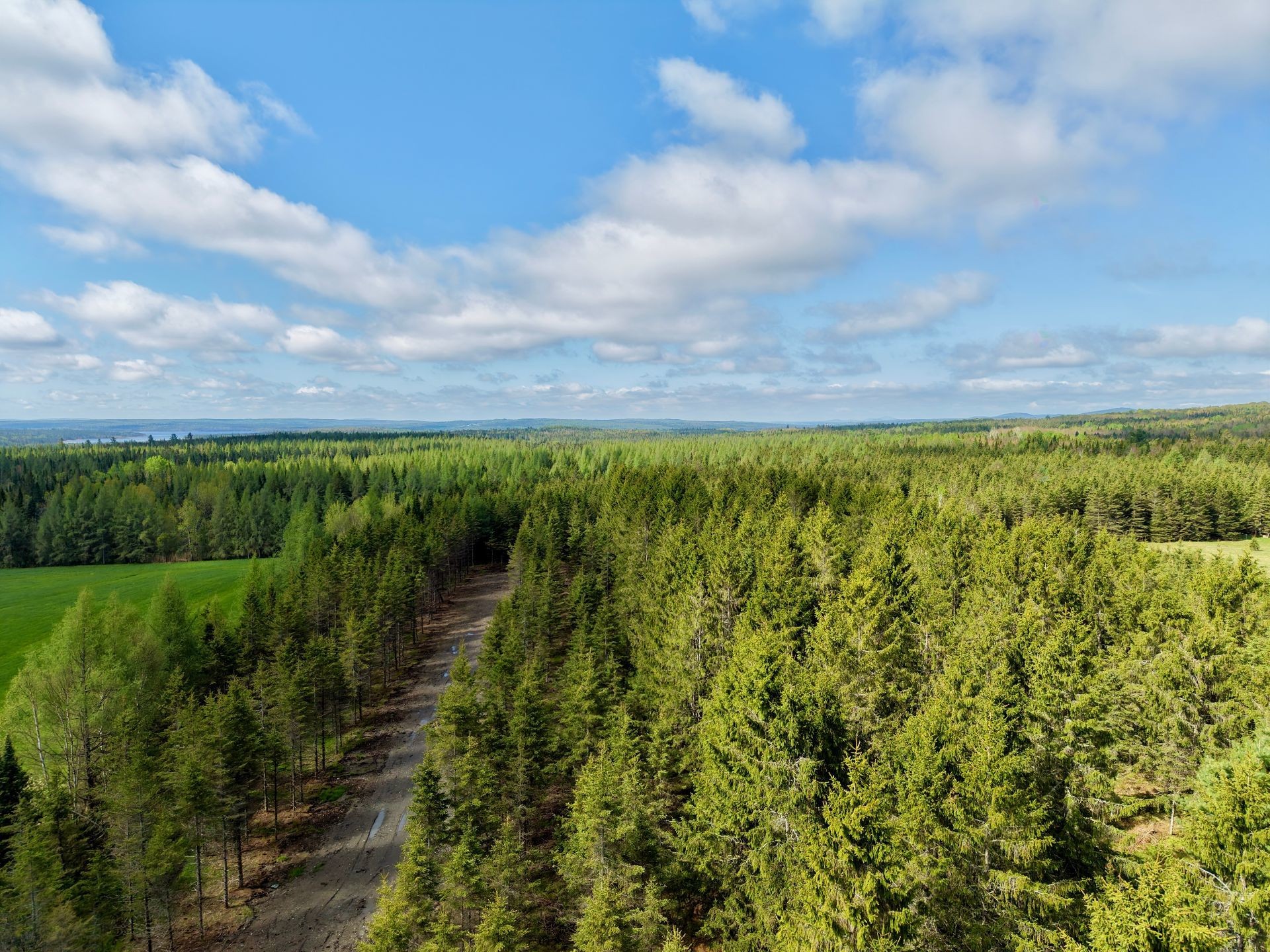 Wooded area - 382 4E Rang, Adstock, QC