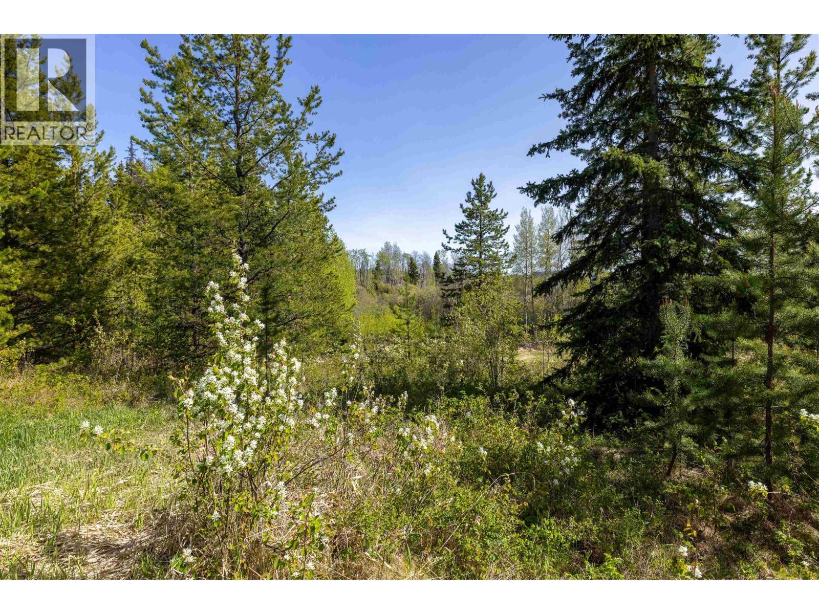 1000 Tachie Road, Fort St. James, BC - Outdoor With View