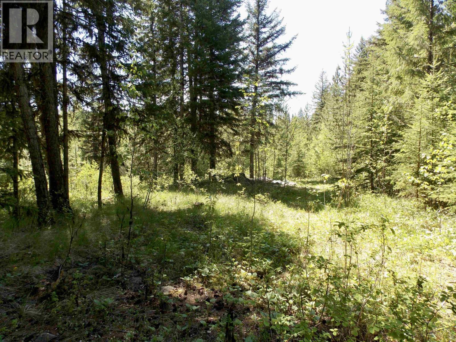 Lot 2 Starlike Lake Road, Horsefly, BC