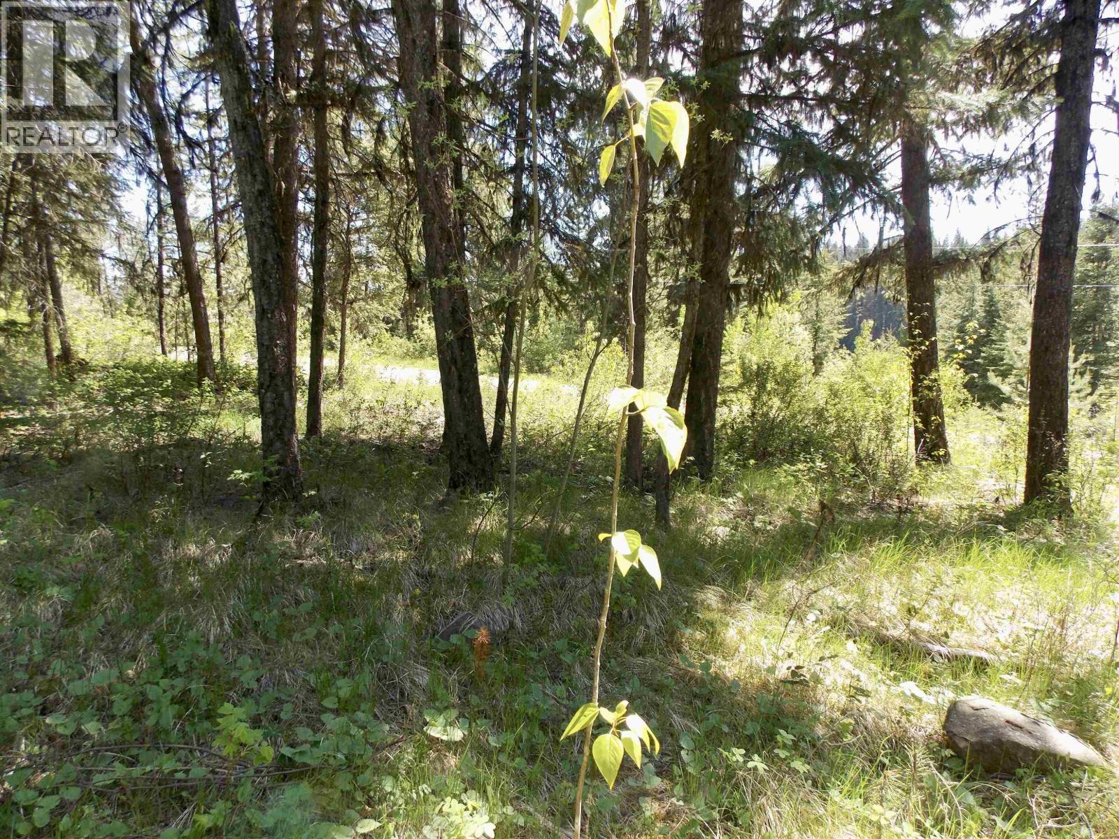 Lot 2 Starlike Lake Road, Horsefly, BC