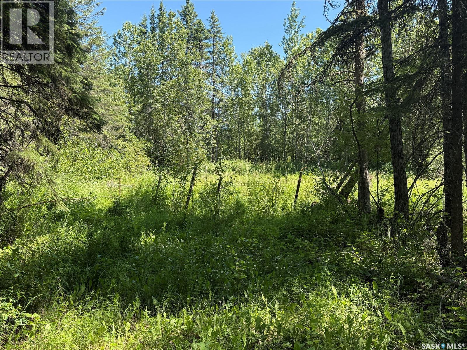 Rest A While Acreage, Paddockwood Rm No. 520, SK