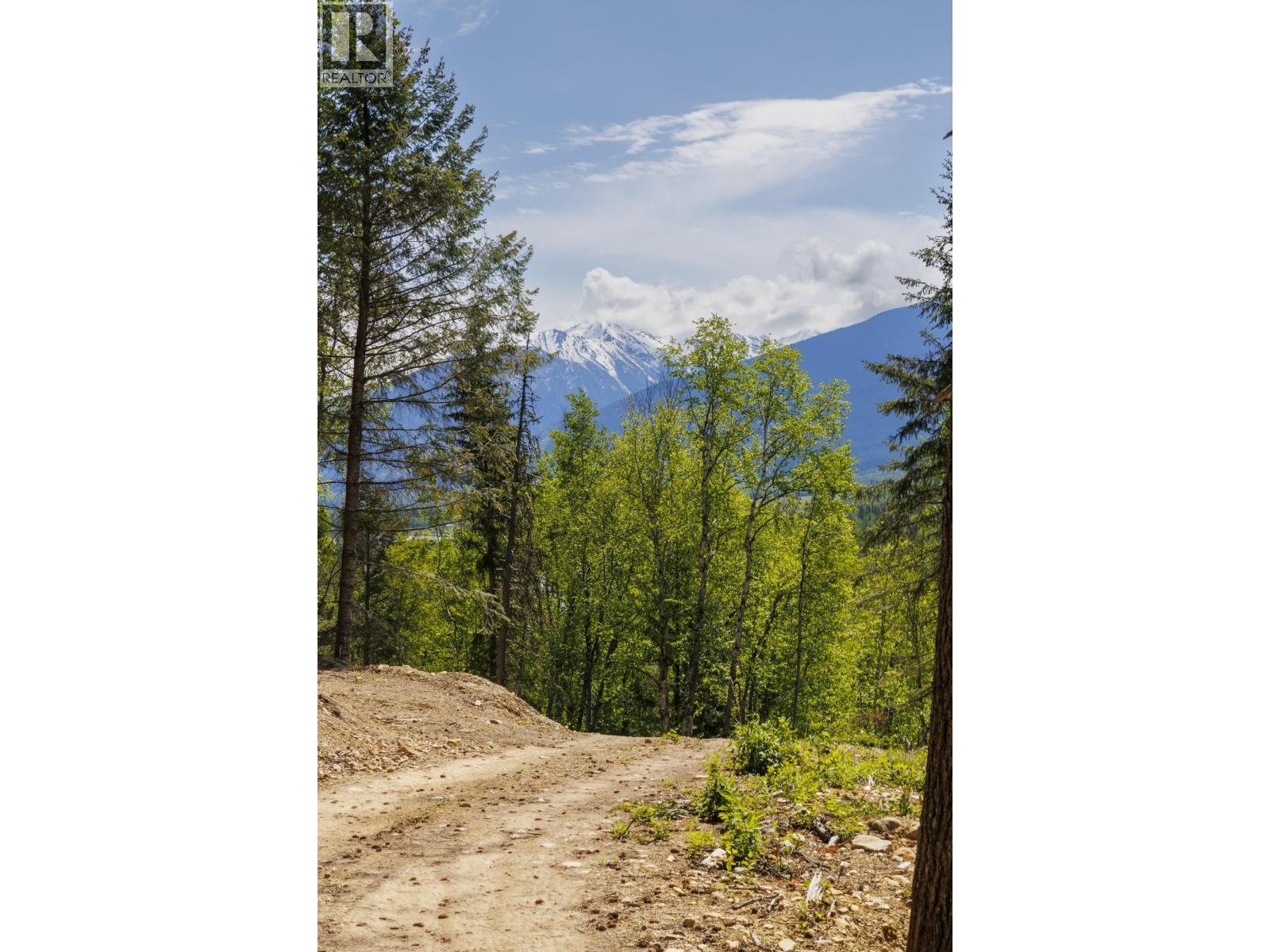 3260 Mountain View Road, Mcbride, BC