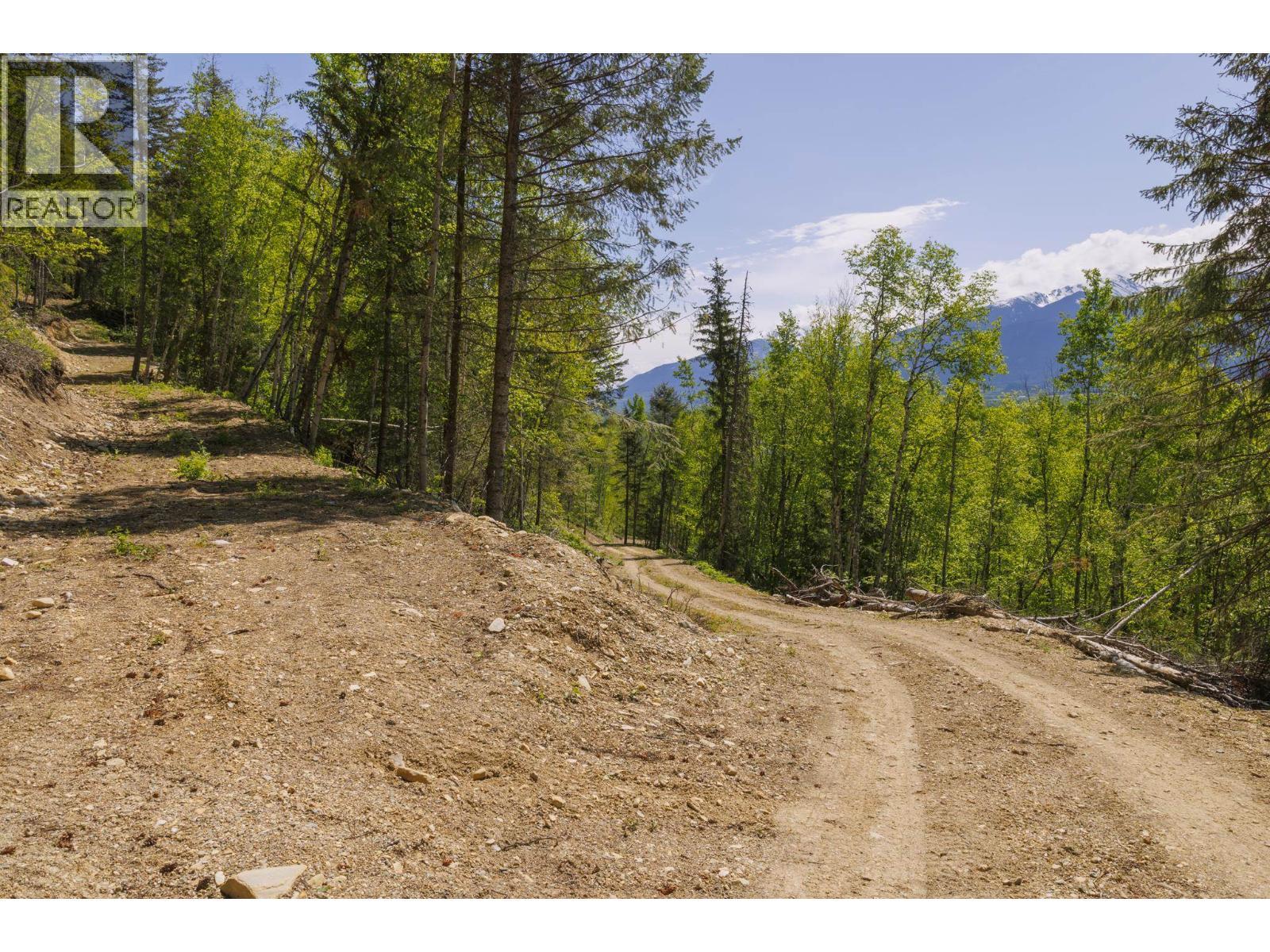 3260 Mountain View Road, Mcbride, BC