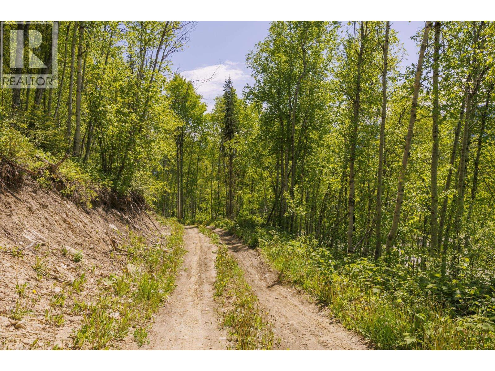 3260 Mountain View Road, Mcbride, BC