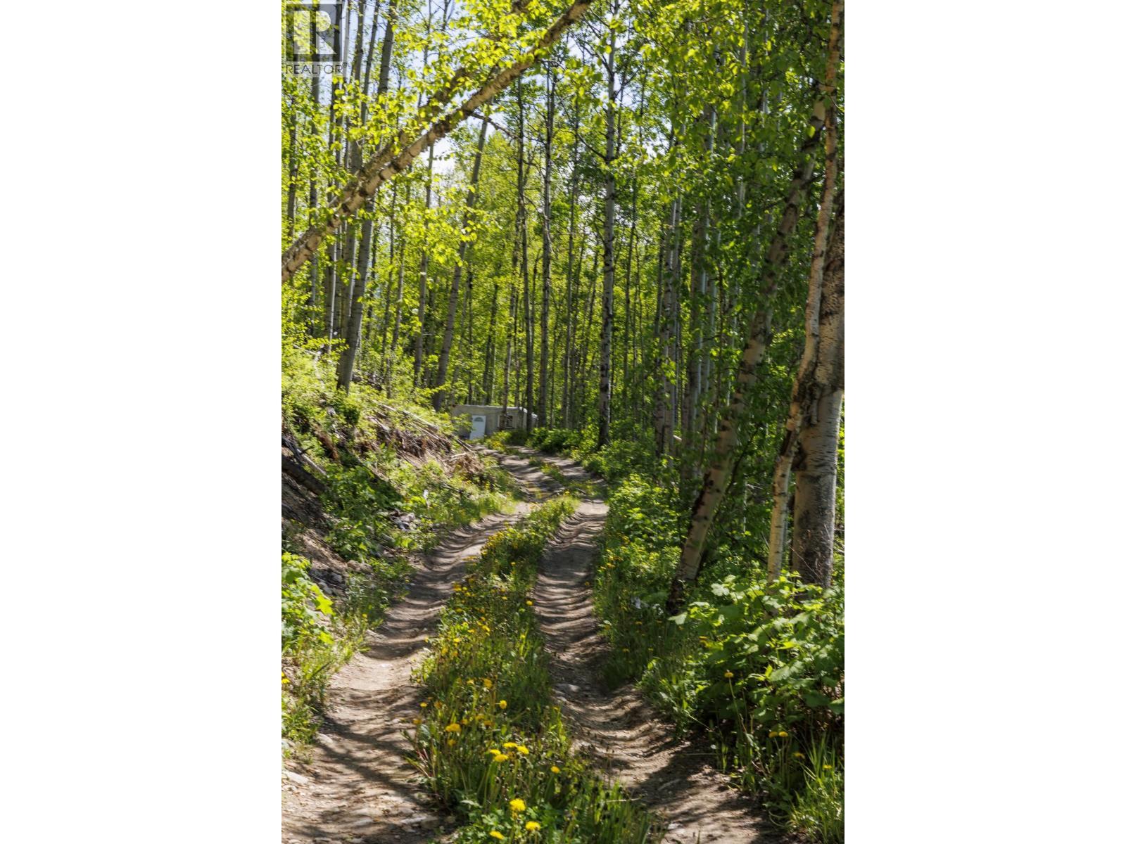 3260 Mountain View Road, Mcbride, BC