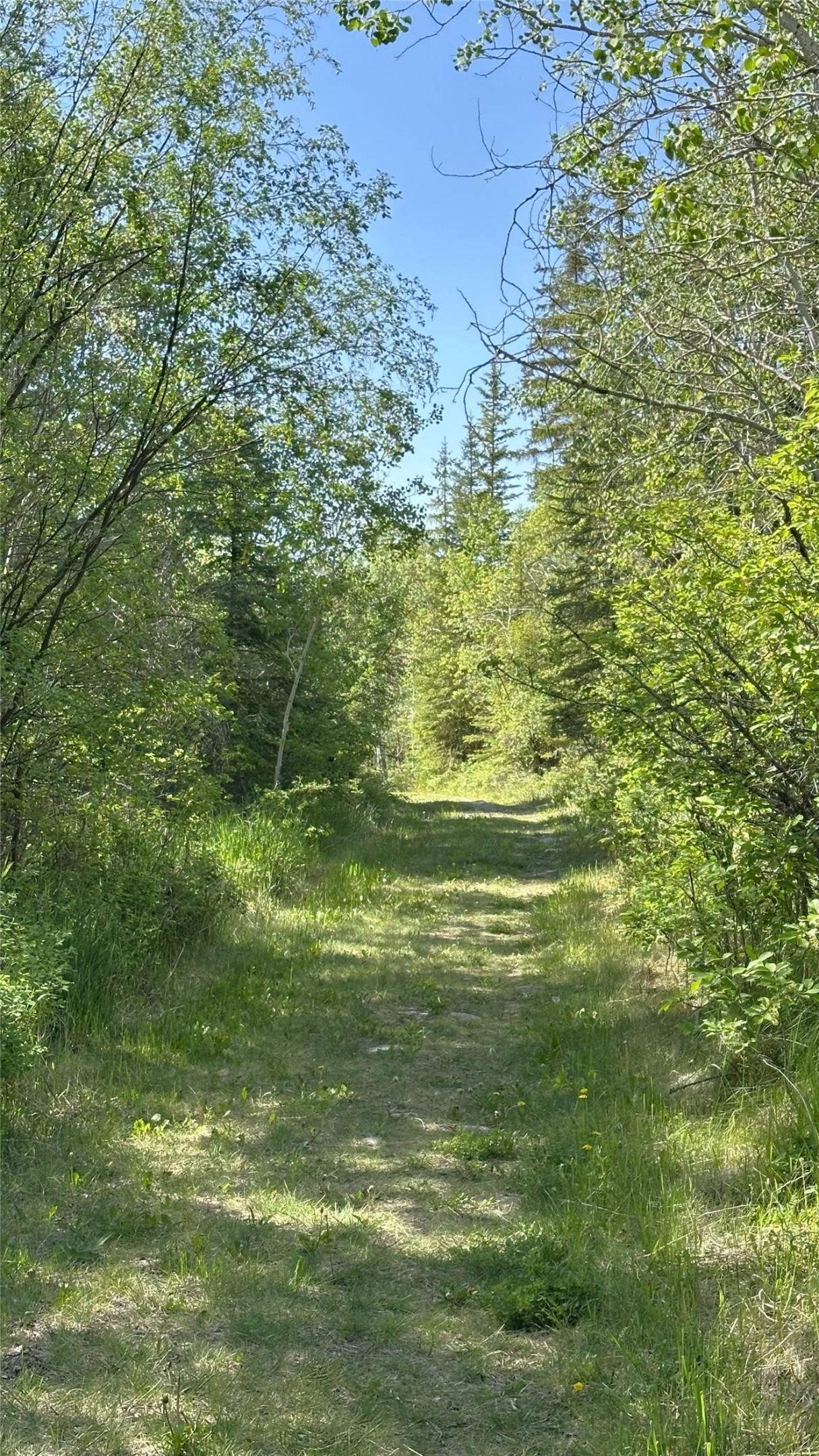 4325 Moan Road, Ta Ta Creek, BC - Outdoor With View