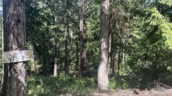 3710 Frigate Rd Pender Island, BC V0N 2M2