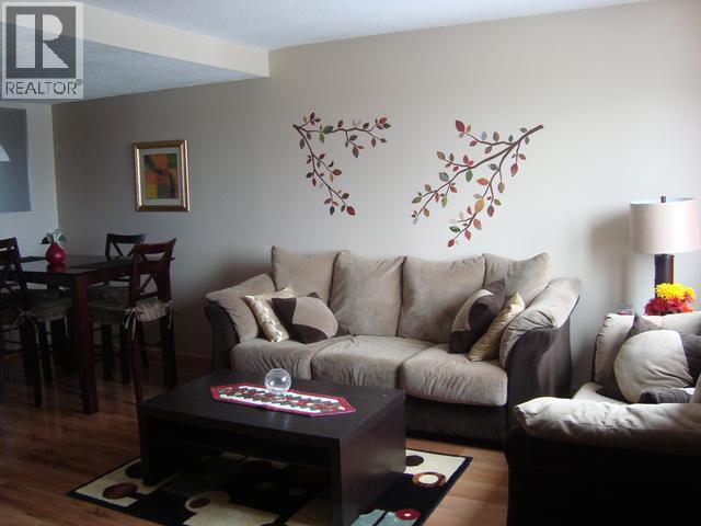 114 Kitza Avenue, Faro, YT - Indoor Photo Showing Living Room