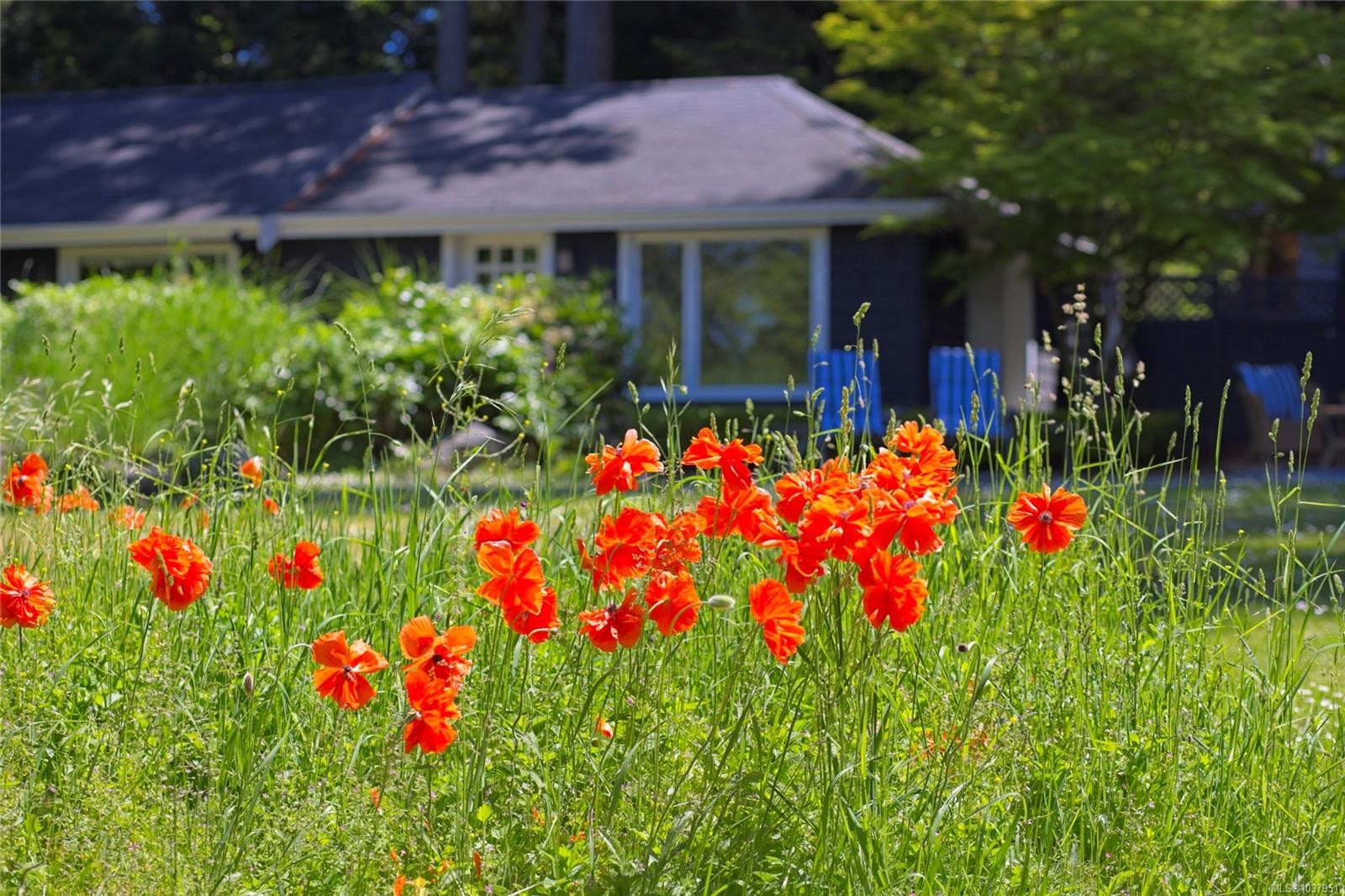 123 Swan Point Rd, Salt Spring, BC