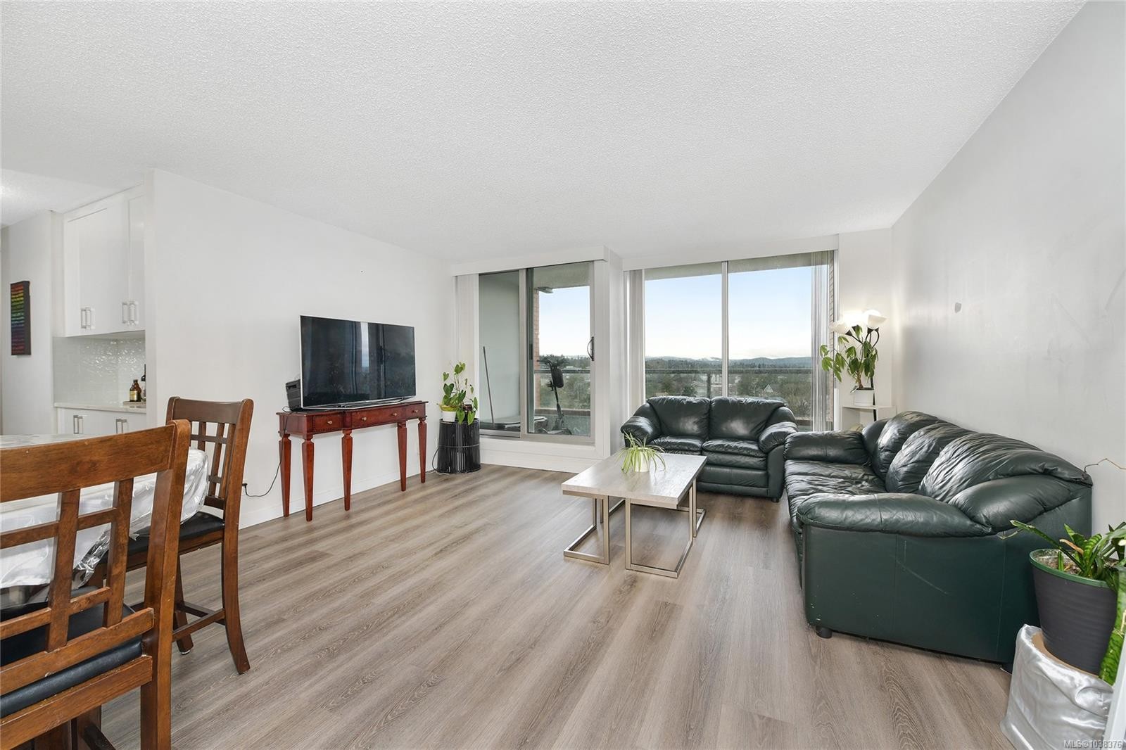 #1101-327 Maitland St, Victoria, BC - Indoor Photo Showing Living Room