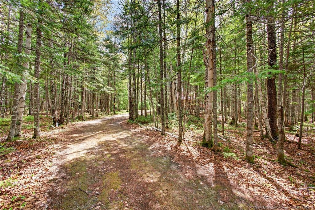 346 Gum Rd, Bartibog Bridge, NB