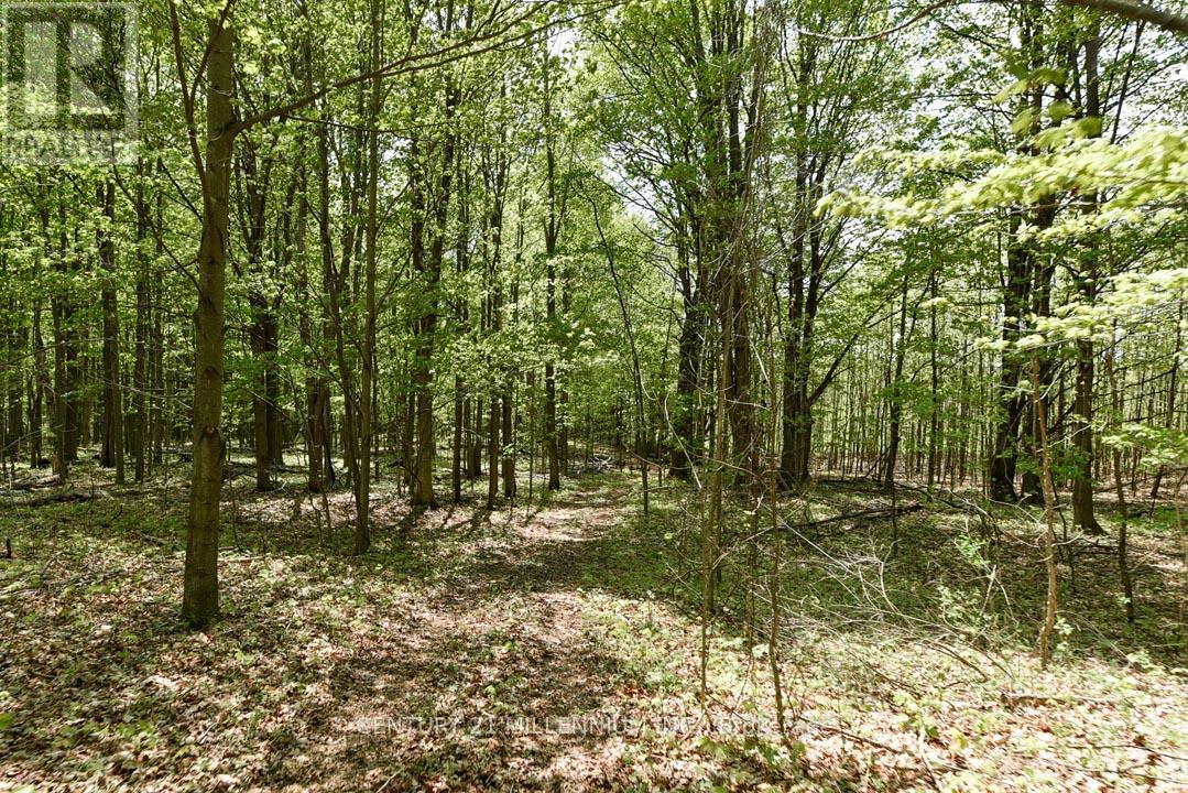 17218 Innis Lake Road, Caledon, ON