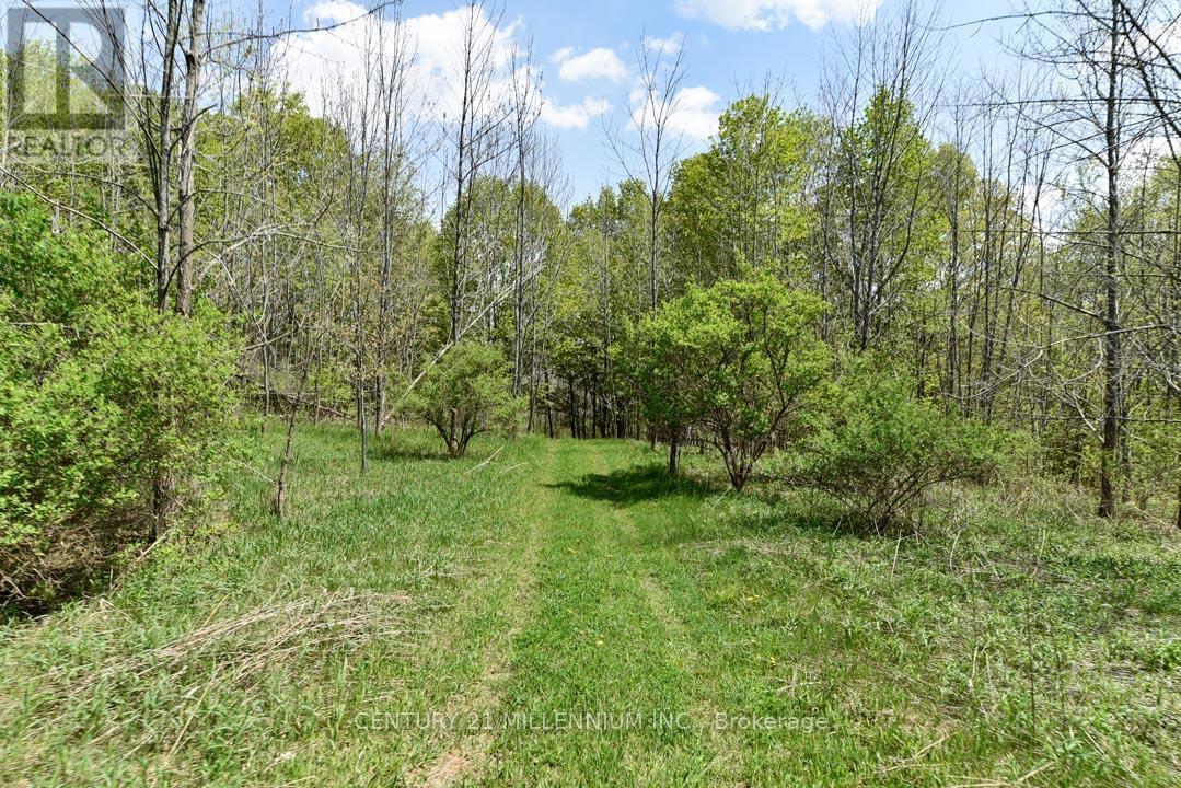 17218 Innis Lake Road, Caledon, ON