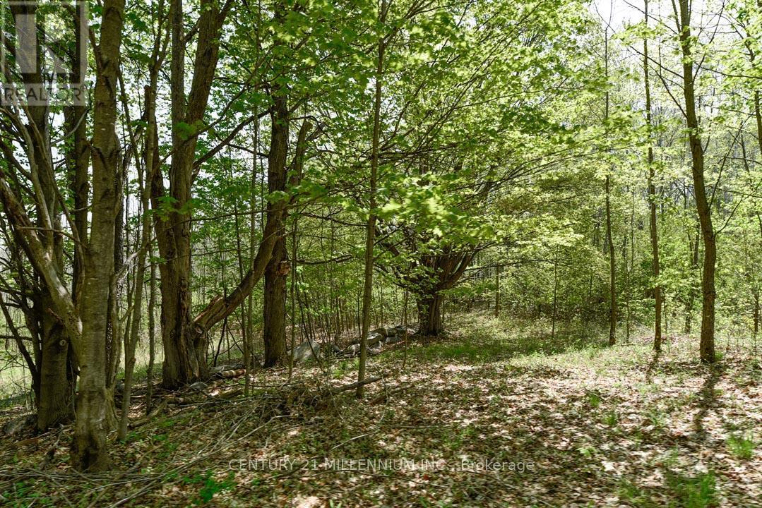 17218 Innis Lake Road, Caledon, ON