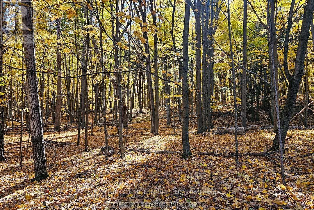Photo Provided by Seller, Date Unknown - 17218 Innis Lake Road, Caledon, ON