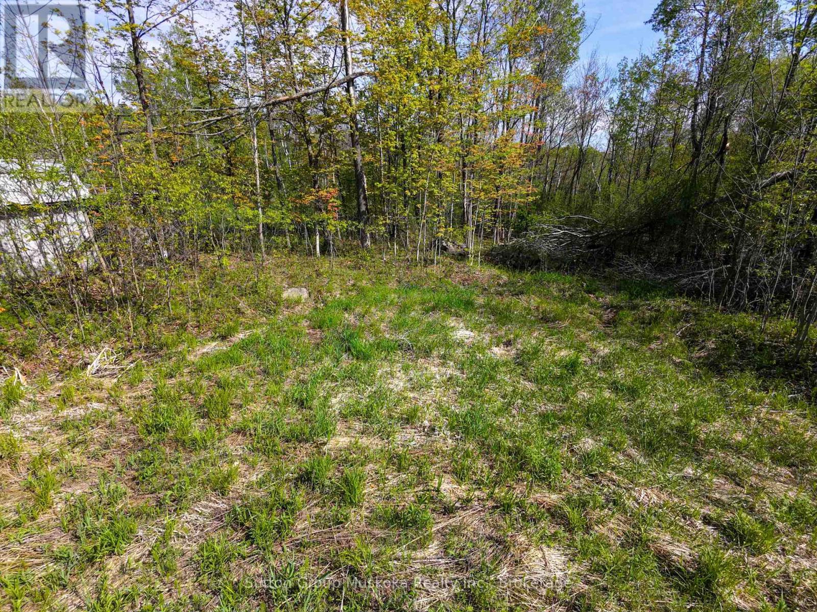 359 Town Line Road W, Huntsville (Brunel), ON