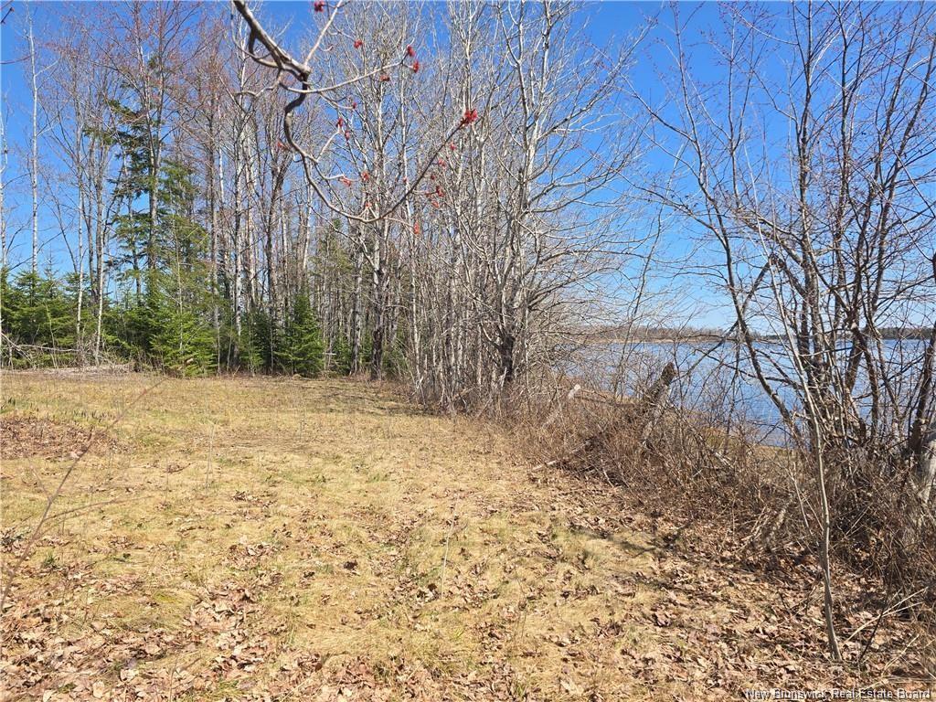 Acreage North Black River Rd, Black River Bridge, NB