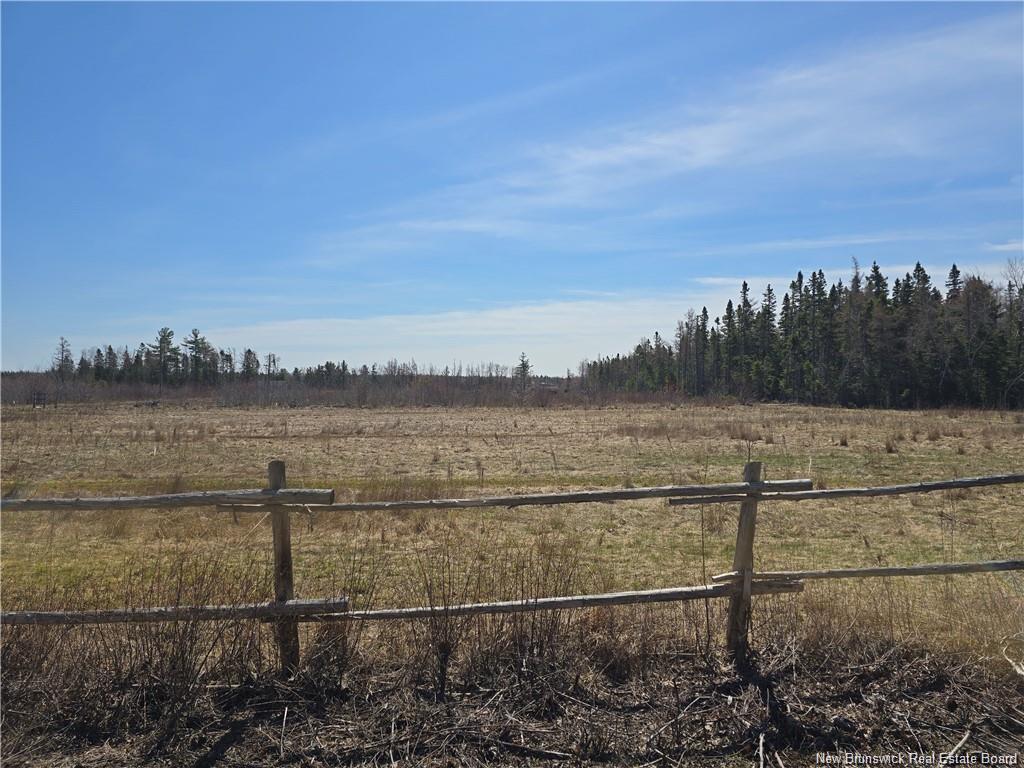 Acreage North Black River Rd, Black River Bridge, NB