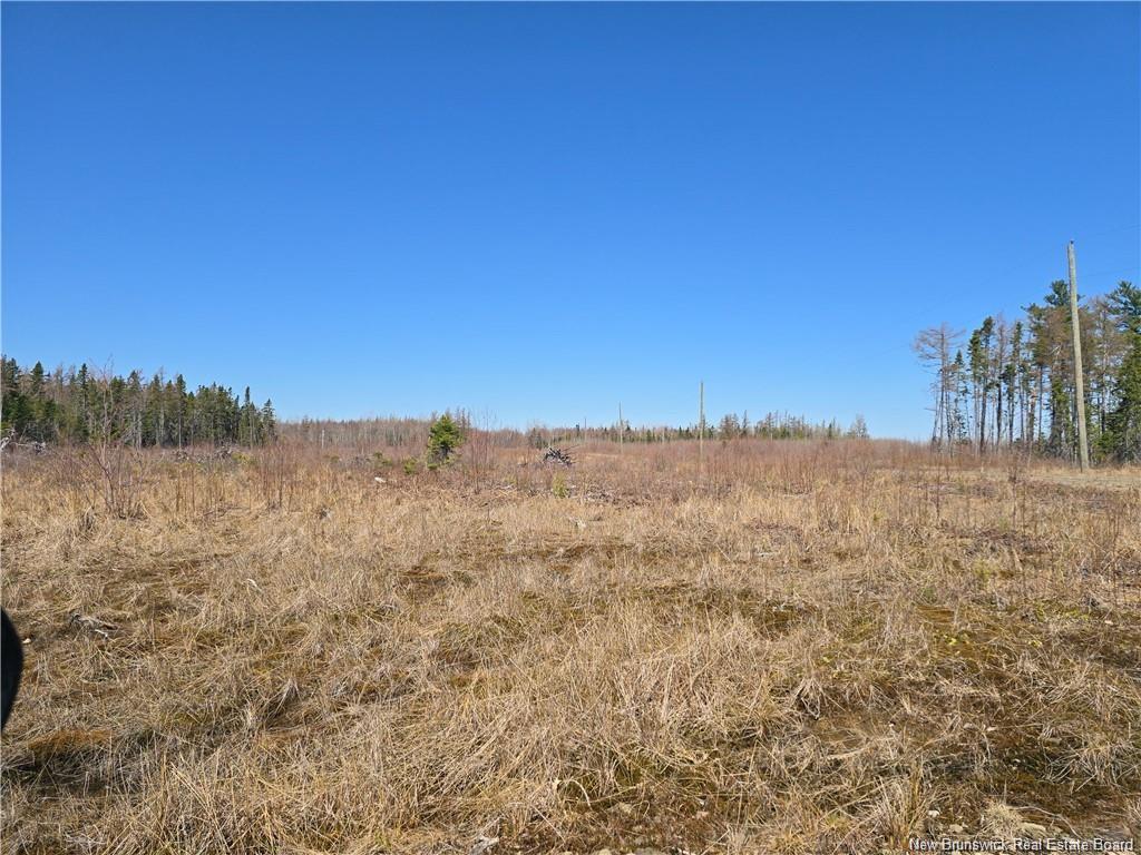 Acreage North Black River Rd, Black River Bridge, NB