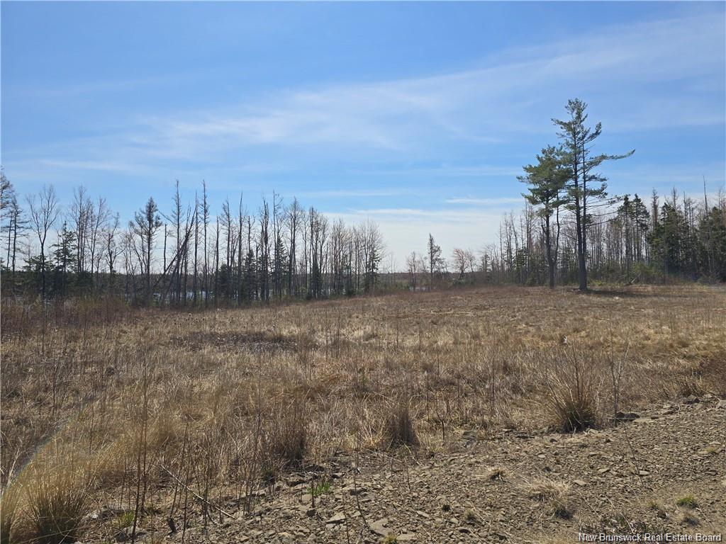 Acreage North Black River Rd, Black River Bridge, NB