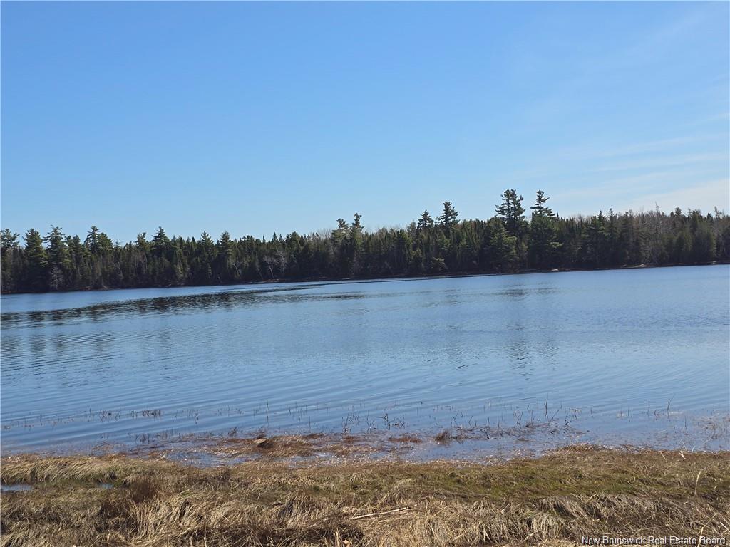 Acreage North Black River Rd, Black River Bridge, NB
