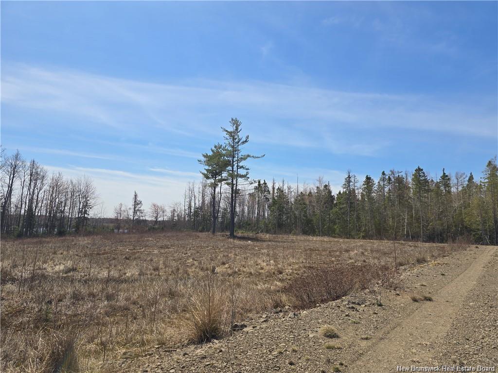 Acreage North Black River Rd, Black River Bridge, NB