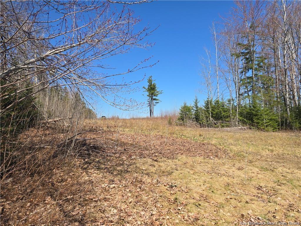 Acreage North Black River Rd, Black River Bridge, NB