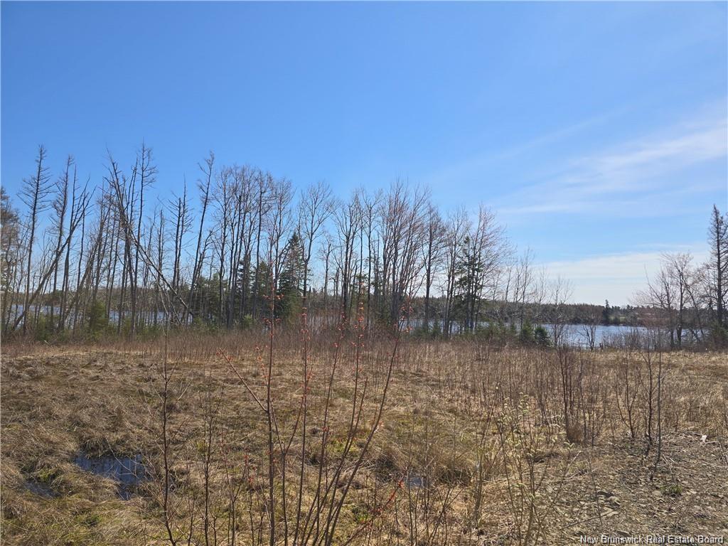 Acreage North Black River Rd, Black River Bridge, NB