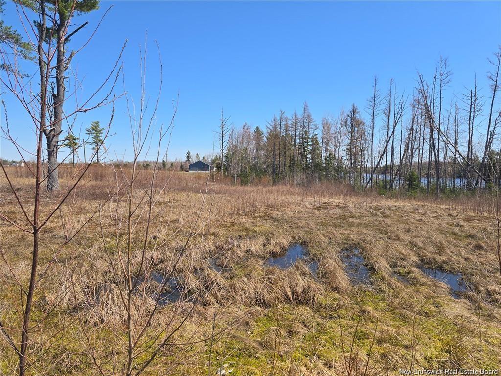 Acreage North Black River Rd, Black River Bridge, NB
