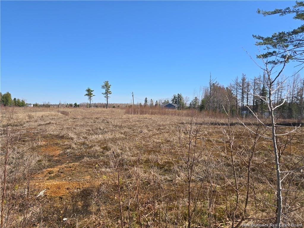 Acreage North Black River Rd, Black River Bridge, NB