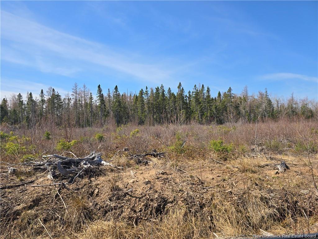 Acreage North Black River Rd, Black River Bridge, NB
