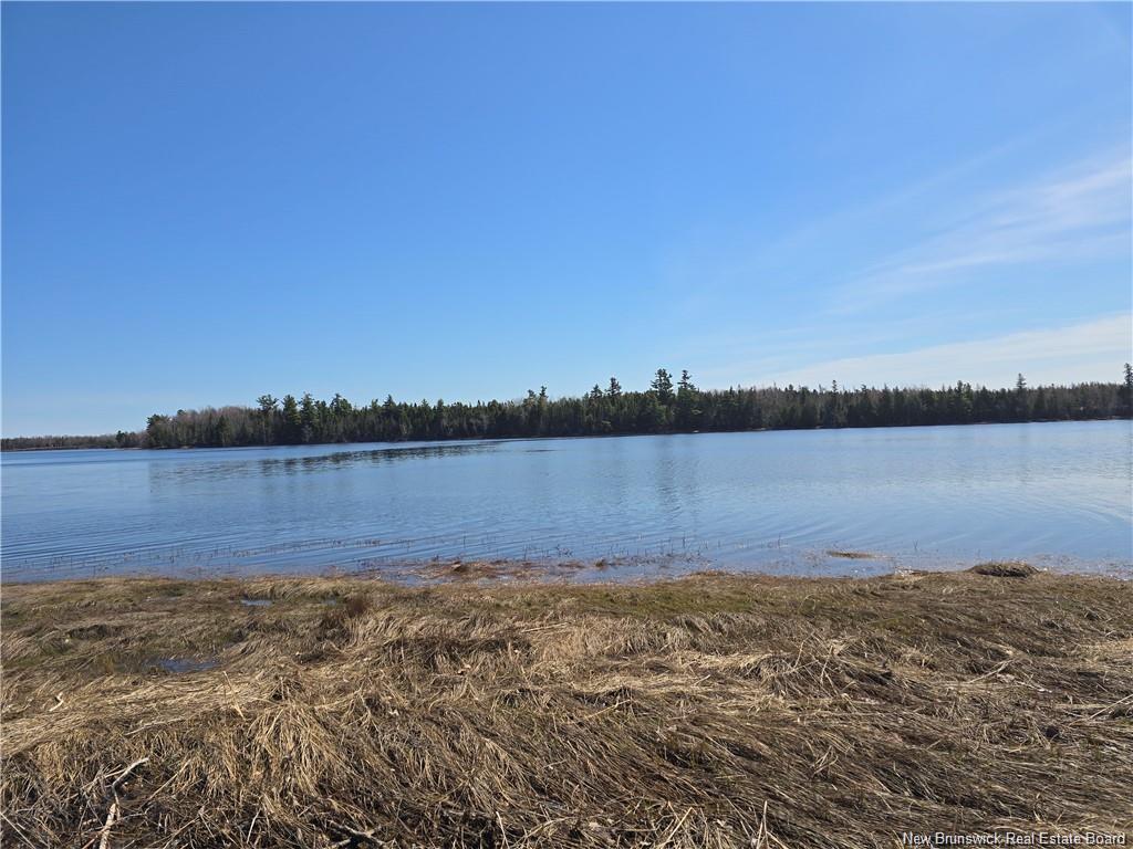 Acreage North Black River Rd, Black River Bridge, NB
