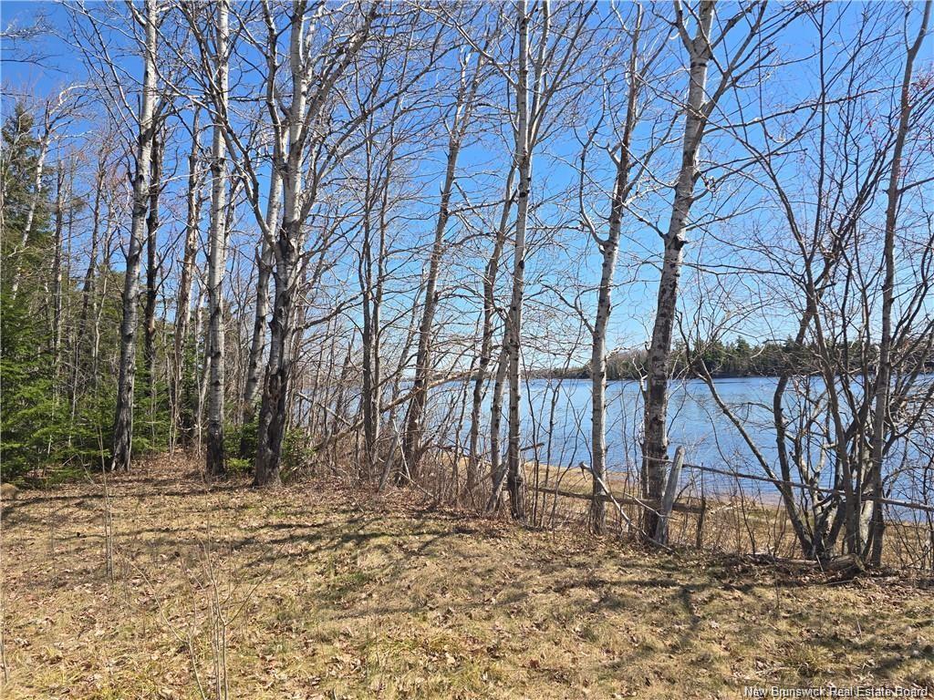 Acreage North Black River Rd, Black River Bridge, NB