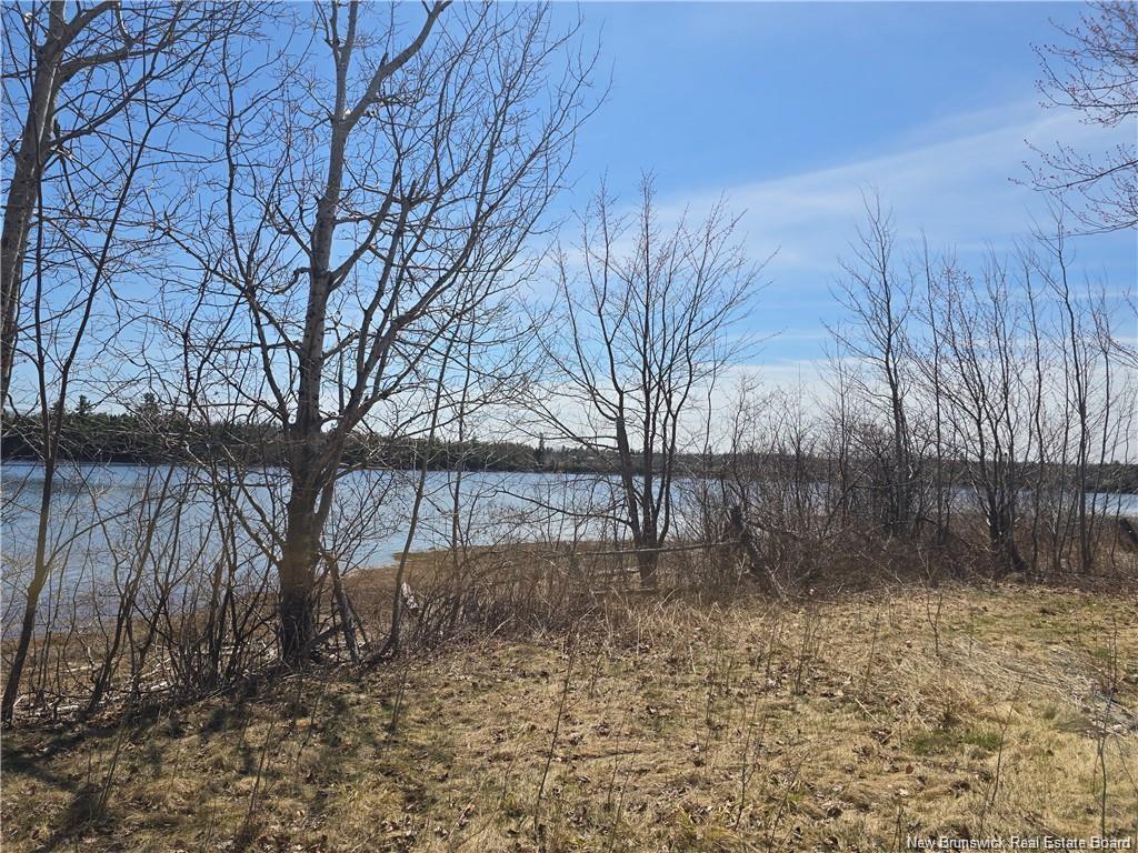 Acreage North Black River Rd, Black River Bridge, NB
