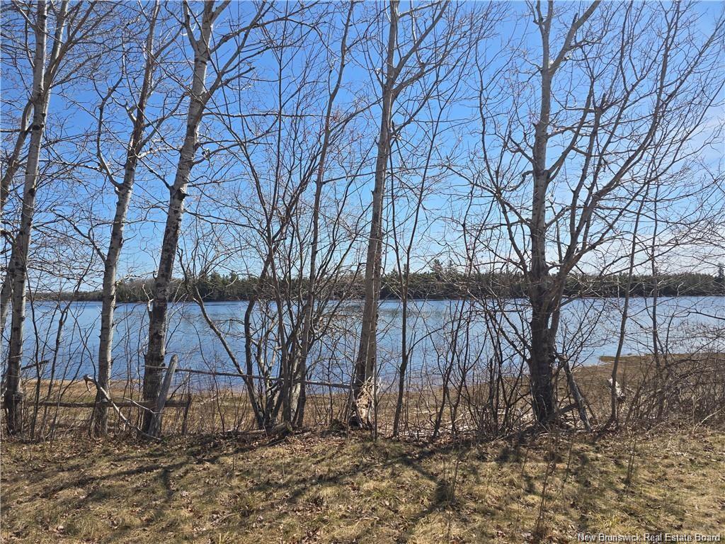 Acreage North Black River Rd, Black River Bridge, NB