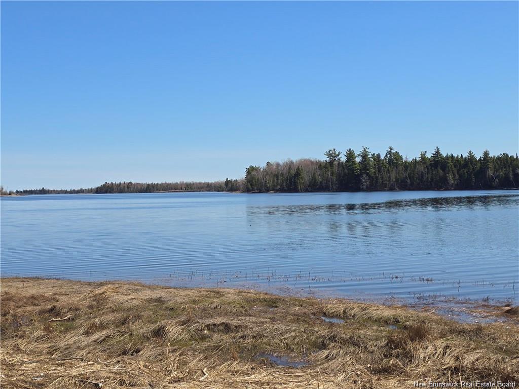Acreage North Black River Rd, Black River Bridge, NB