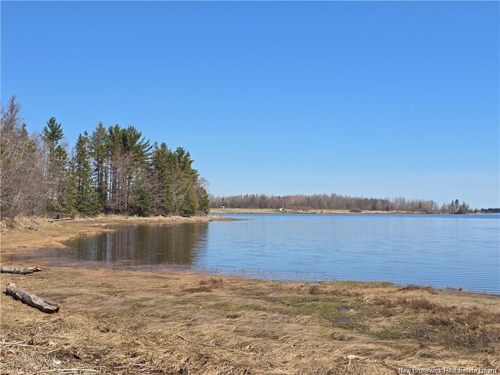 Acreage North Black River Rd, Black River Bridge, NB