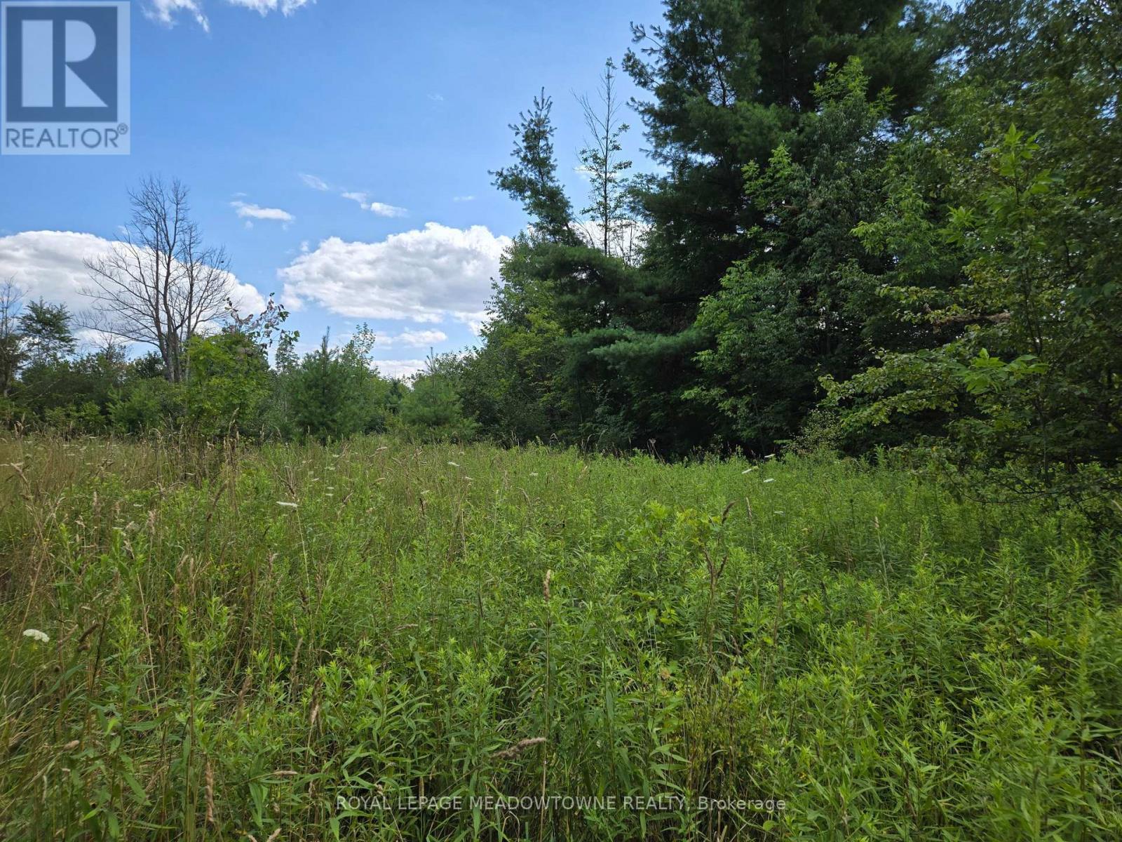 9414 First Line Nassagaweya, Milton, ON