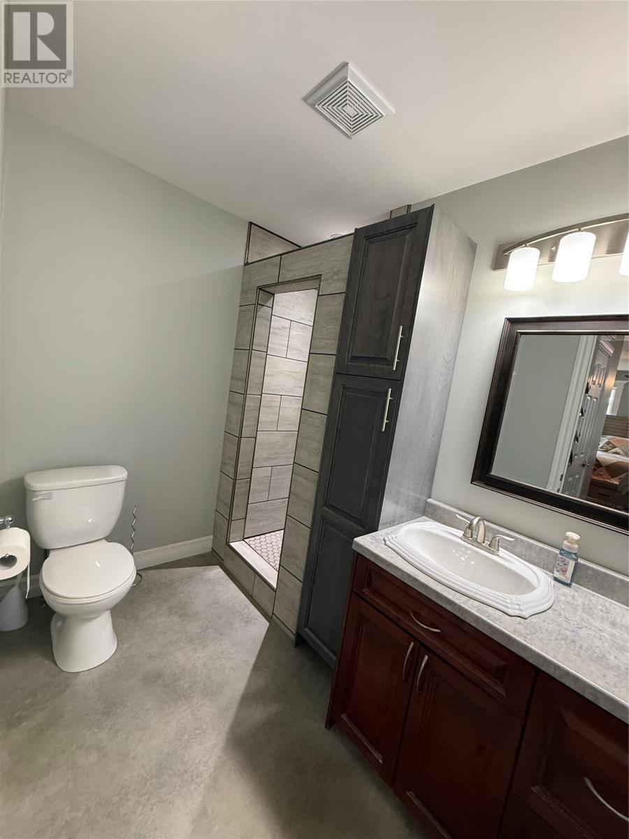 20 Mcdonald Crescent, Bishops Falls, NL - Indoor Photo Showing Bathroom