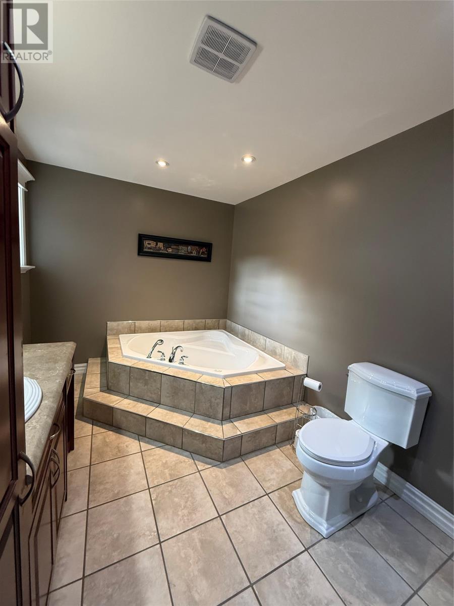 20 Mcdonald Crescent, Bishops Falls, NL - Indoor Photo Showing Bathroom