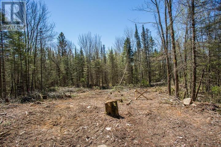 161 Concession Road 5|Plummer Additional Township, Bruce Mines, ON