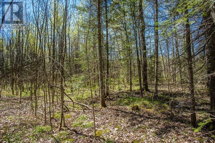 161 Concession Road 5|Plummer Additional Township, Bruce Mines, ON