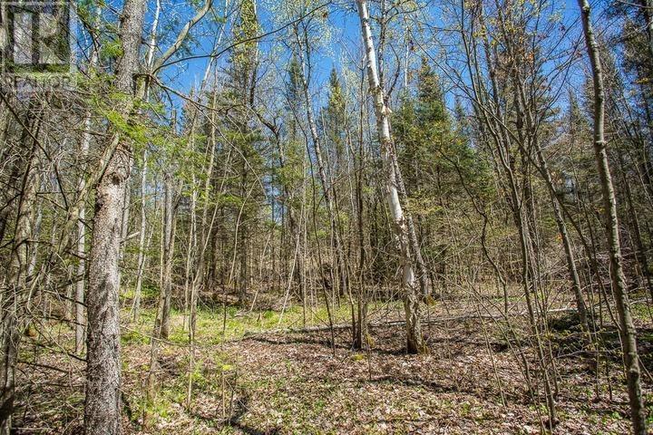 161 Concession Road 5|Plummer Additional Township, Bruce Mines, ON