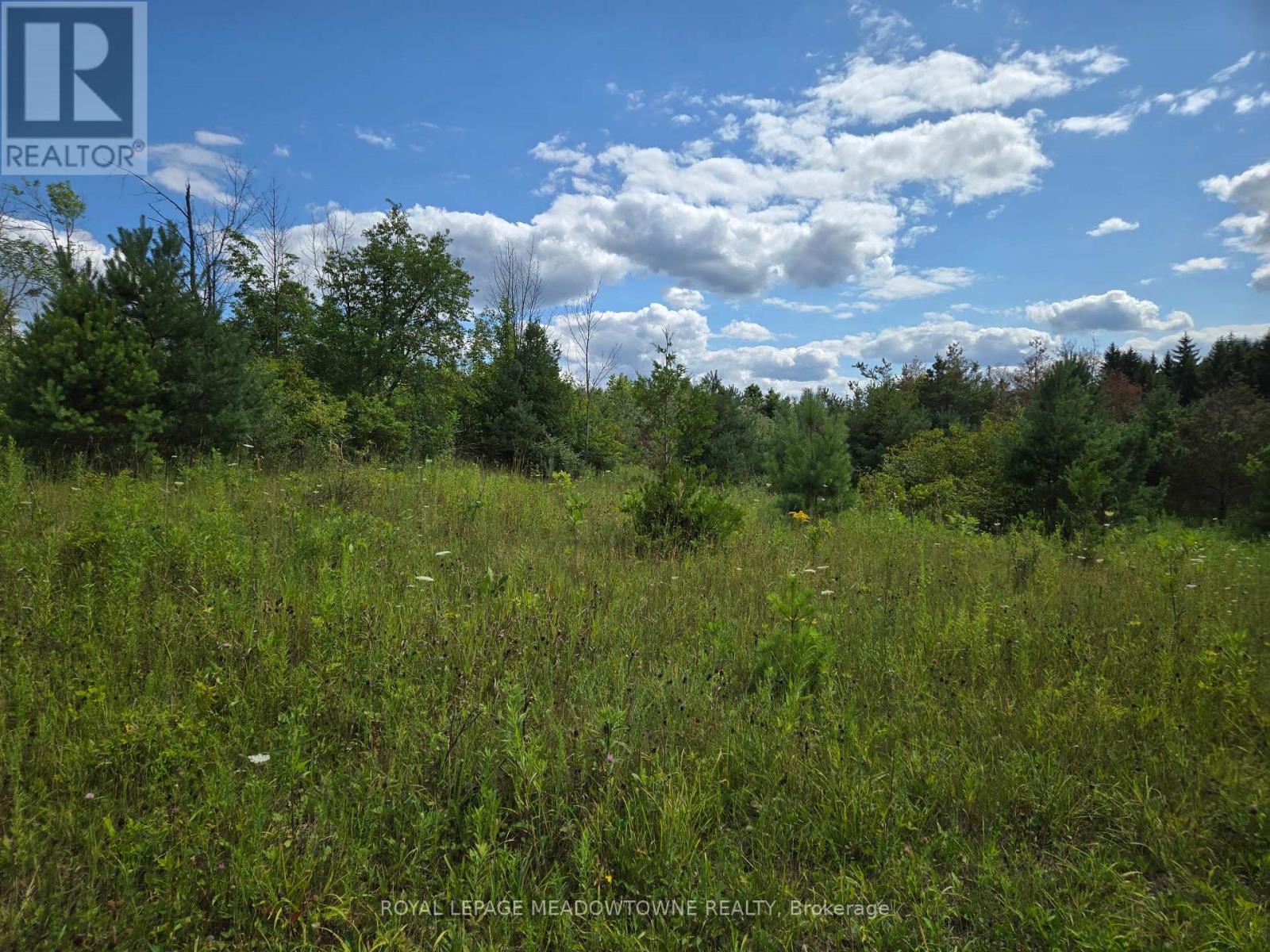 9414 First Line Nassagaweya W, Milton, ON