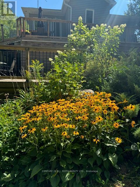 8101 Kings River Road, Ramara, ON - Outdoor