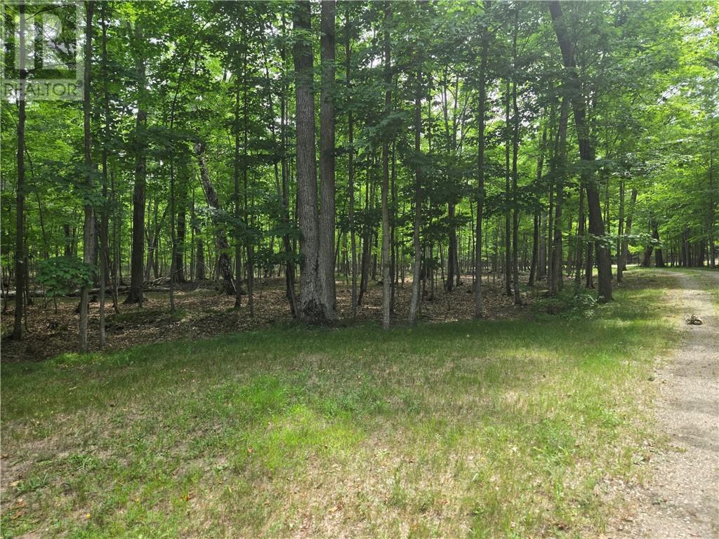 80 Steven Street, Gore Bay, ON - Outdoor With View