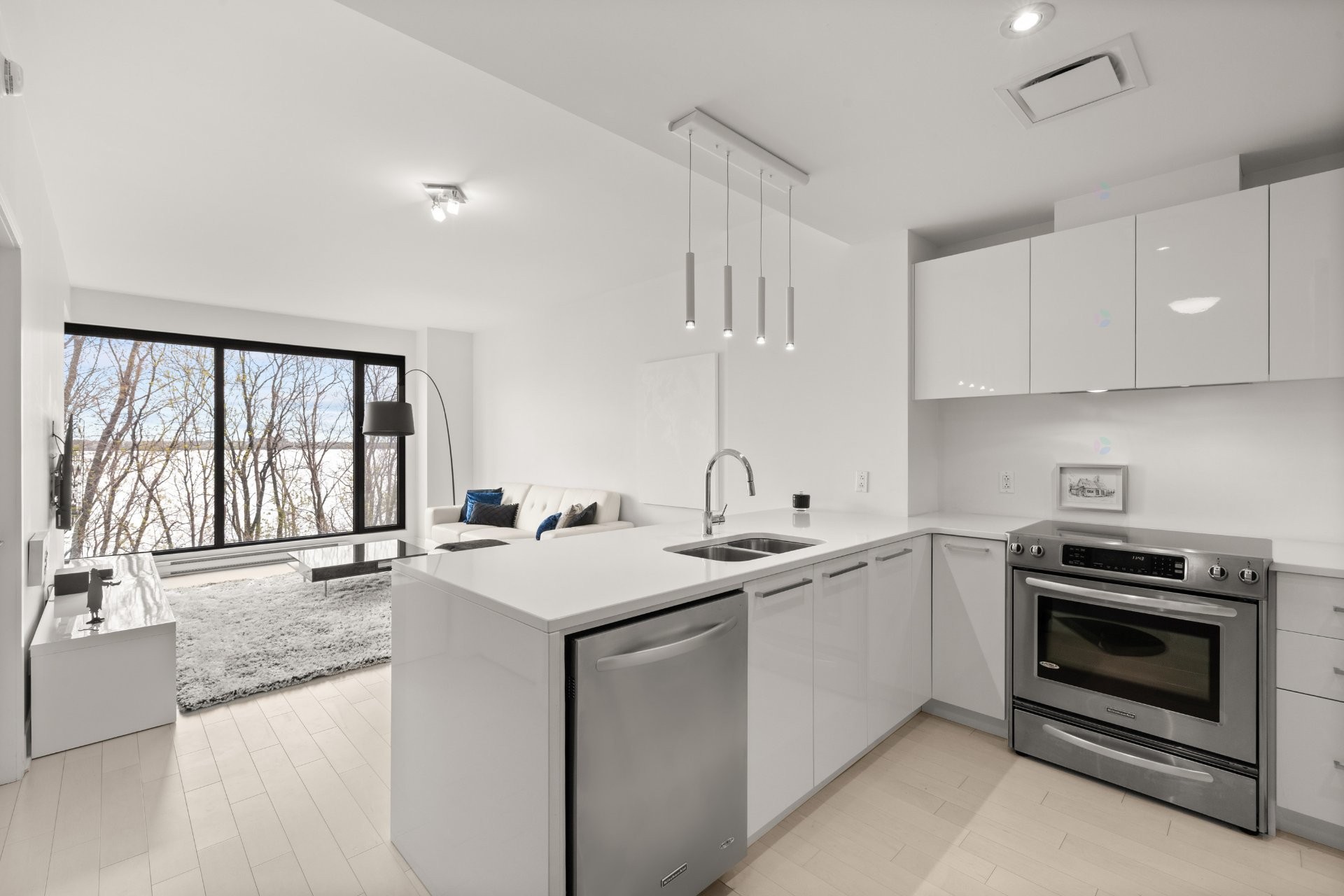 Cuisine - 202-299 Rue De La Rotonde, Montréal (Verdun/Île-Des-Soeurs), QC - Indoor Photo Showing Kitchen With Double Sink